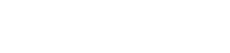 GM07 Consulting